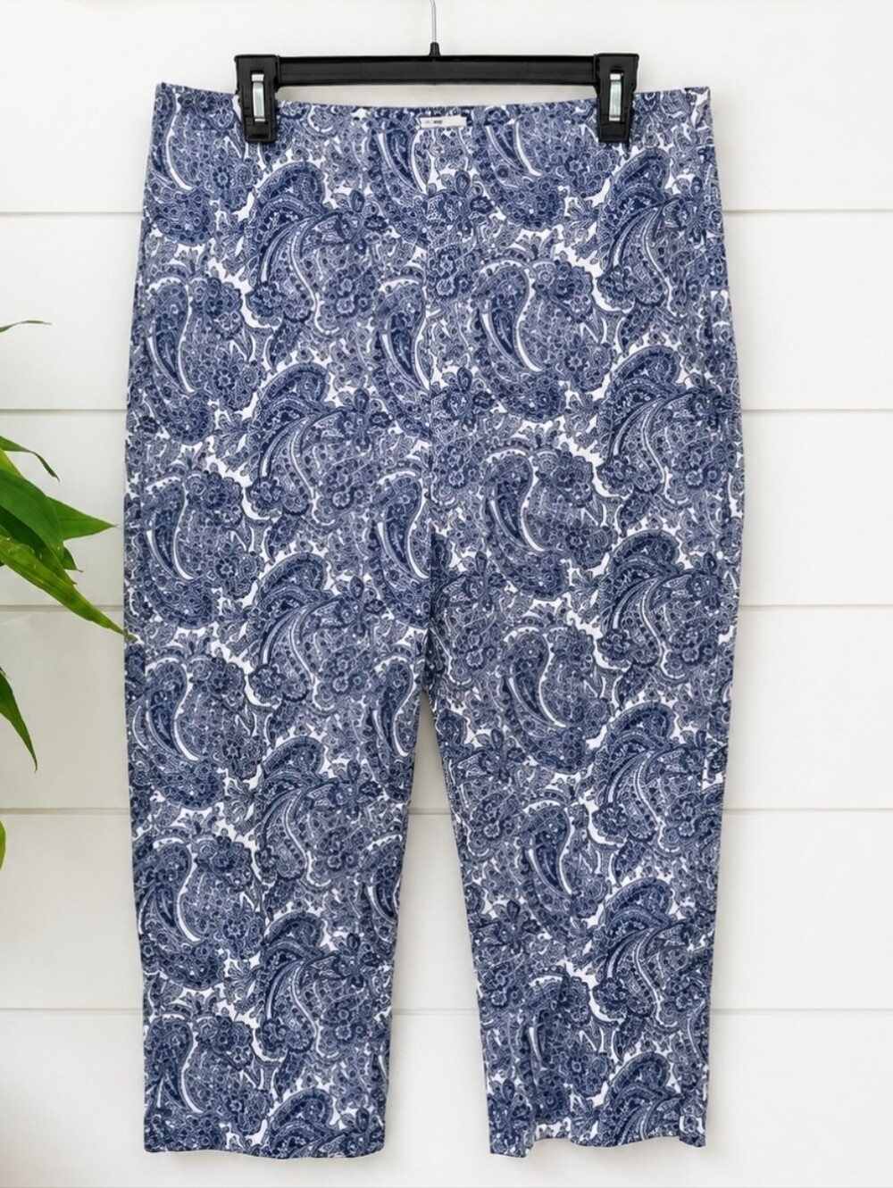 Talbots Heritage Blue Relaxed Chino Paisley Zip Side Crop Ankle Pants Size 12